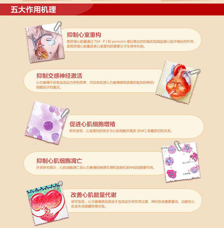 芪藶強(qiáng)心膠囊價格