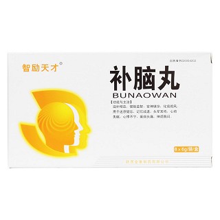 補(bǔ)腦丸(智勵天才)包裝縮略圖1