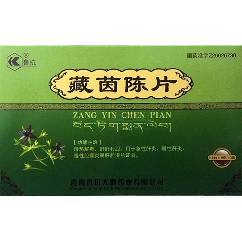 藏茵陳片(魯抗)