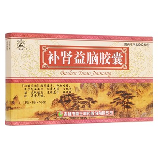 補腎益腦膠囊(龍?zhí)渡?