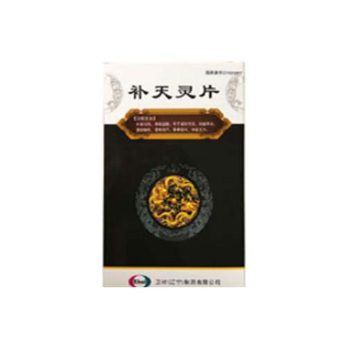 補天靈片(天龍)