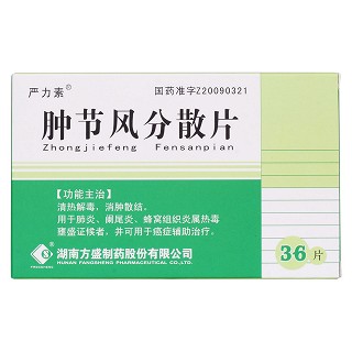 腫節(jié)風(fēng)分散片(嚴(yán)力素)包裝縮略圖1