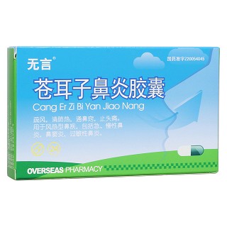 蒼耳子鼻炎膠囊(無言)