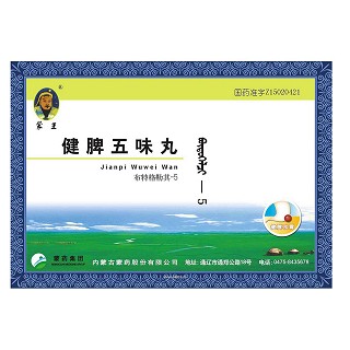 健脾五味丸(蒙王)
