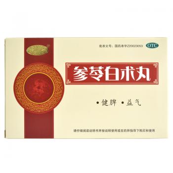 參苓白術(shù)丸(寶仁堂)