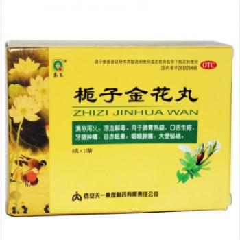 梔子金花丸(秦昆)