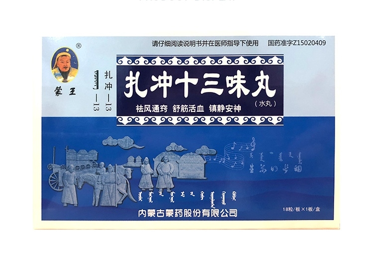 扎沖十三味丸(蒙王)