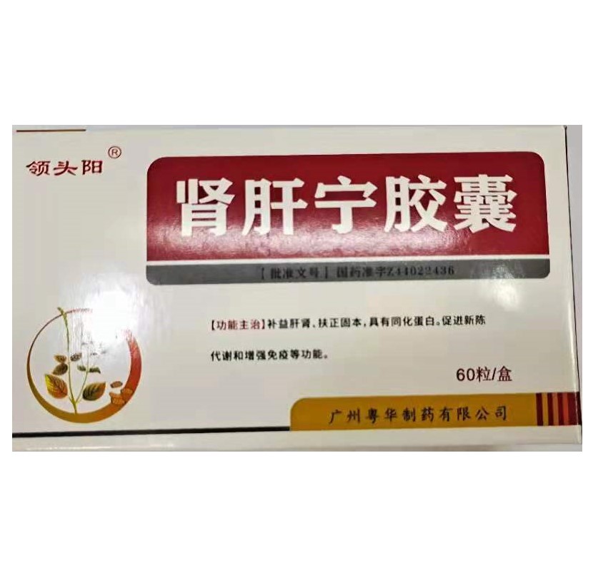 腎肝寧膠囊(領(lǐng)頭陽(yáng))