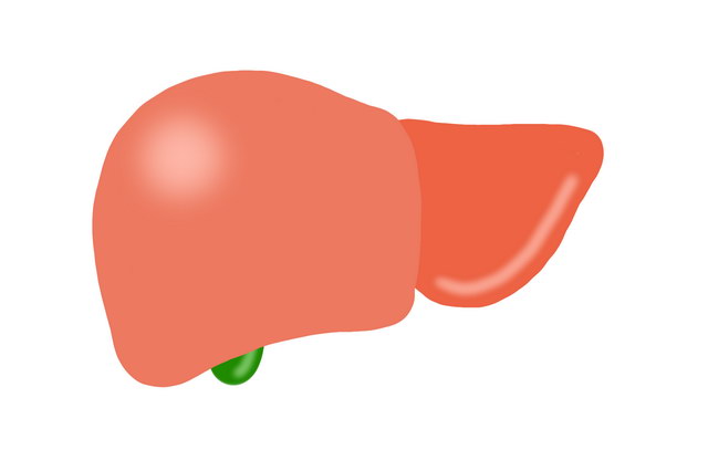 肝